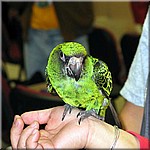 tn09022203_38